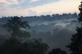 Cambodia’s Keo Seima Wildlife Sanctuary Sells First Carbon Credits